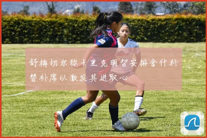 舒梅切尔称卡里克明智安排舍什科替补席以激发其进取心